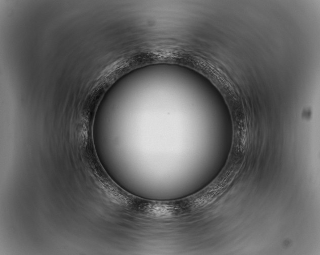 X0000100940710200807011245