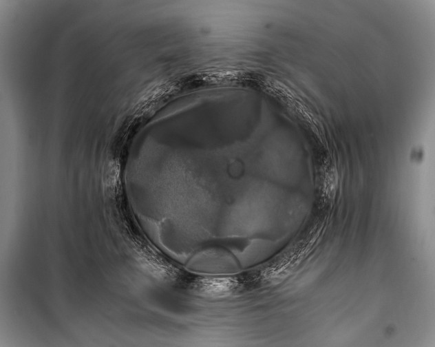 X0000100940711200807011245