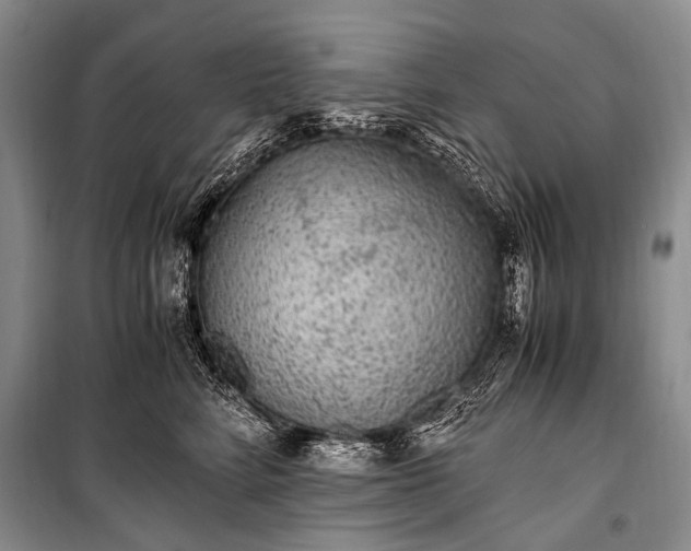 X0000100940712200807011245