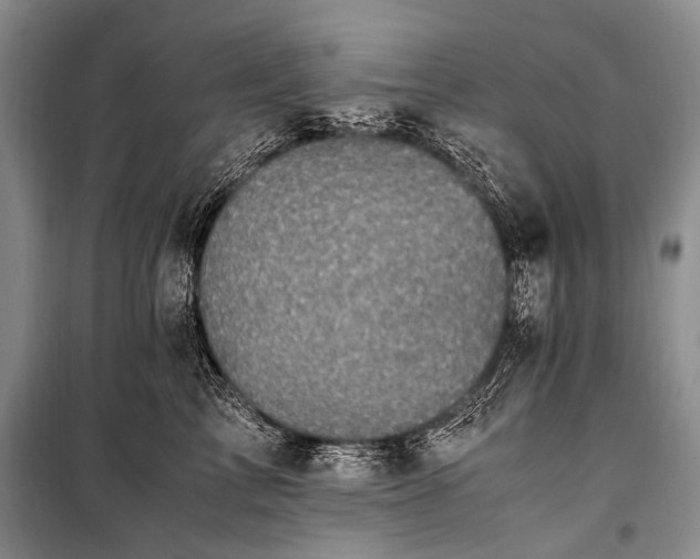 X0000100940713200807011245