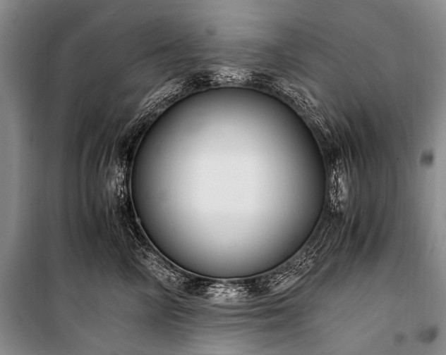 X0000100940714200807011245