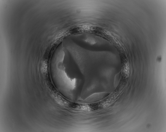 X0000100940715200807011245