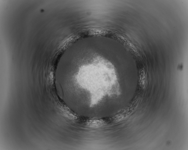 X0000100940716200807011245