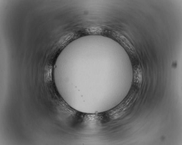 X0000100940717200807011245