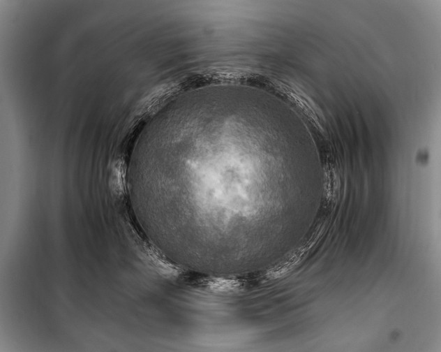 X0000100940718200807011245