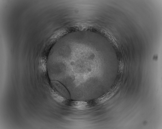 X0000100940719200807011245