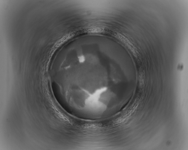 X0000100940721200807011244