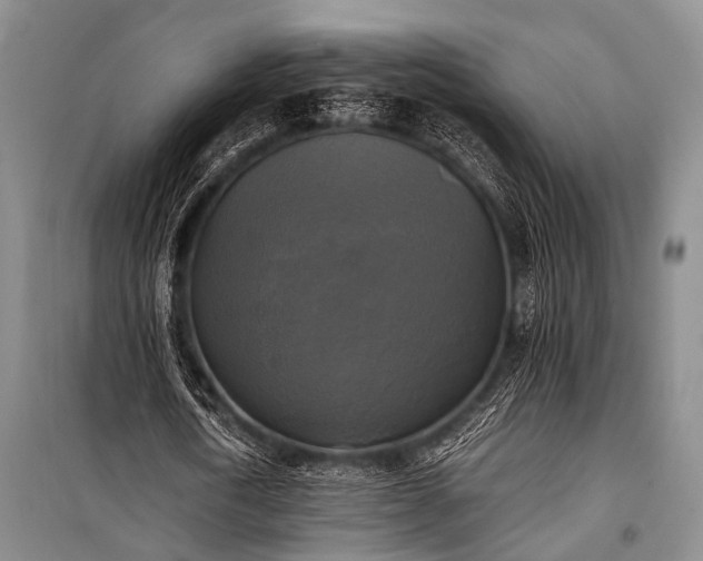 X0000100940722200807011244