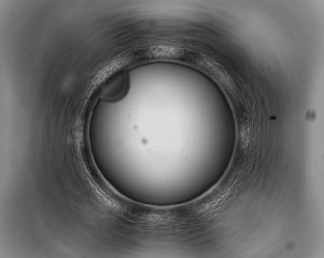 X0000100940725200807011244