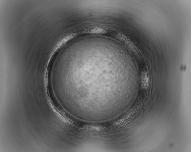 X0000100940726200807011244