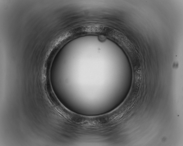 X0000100940727200807011244