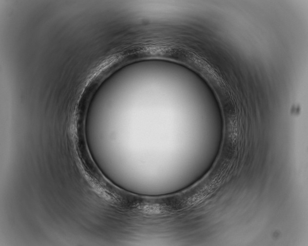 X0000100940730200807011244