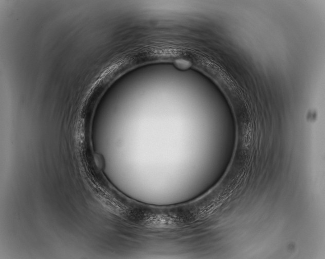 X0000100940731200807011244