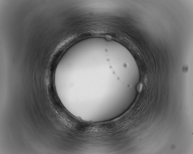 X0000100940732200807011244