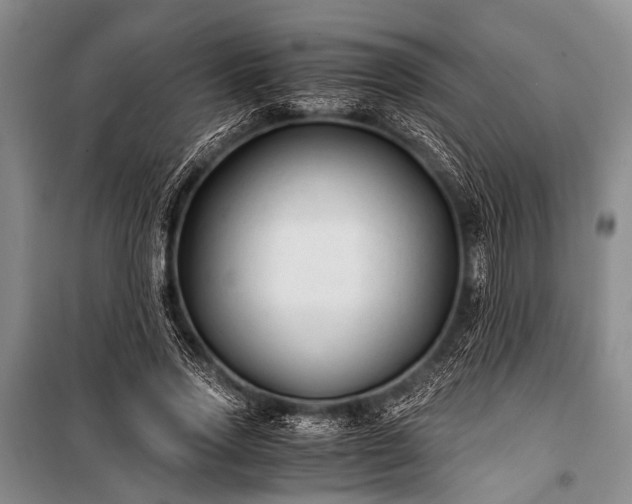 X0000100940733200807011244