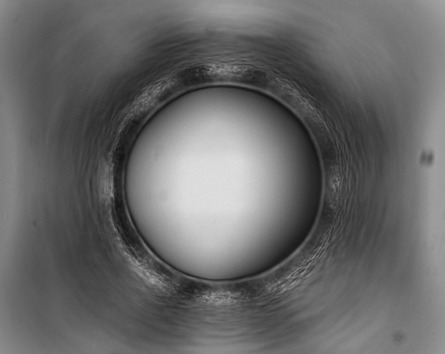 X0000100940734200807011244