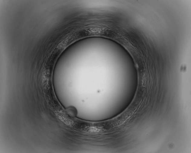 X0000100940737200807011244