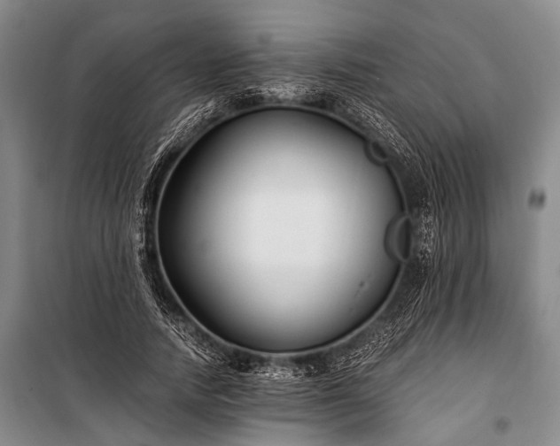 X0000100940738200807011244