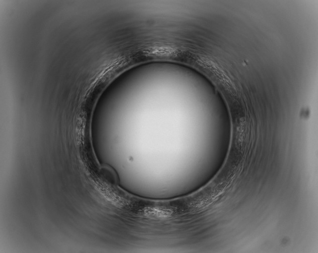 X0000100940739200807011244