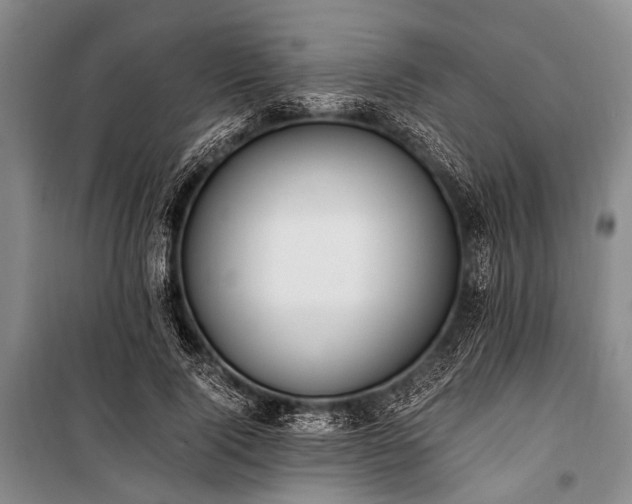 X0000100940740200807011244