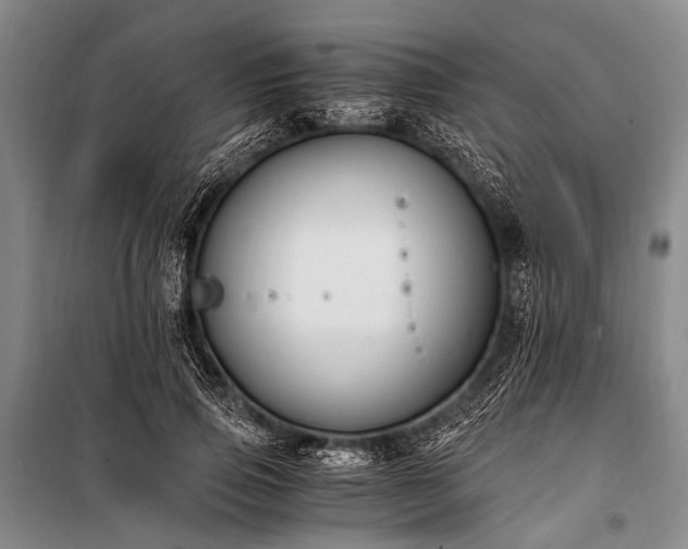 X0000100940741200807011244