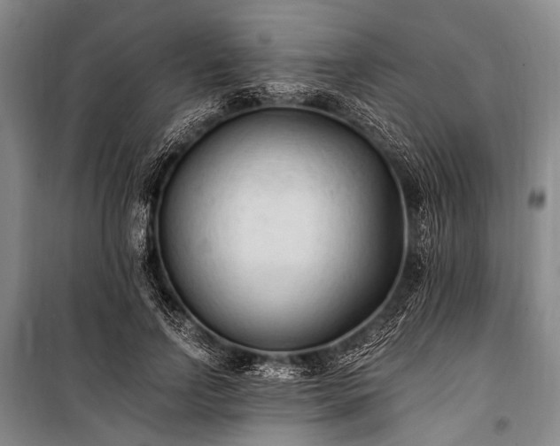 X0000100940742200807011244