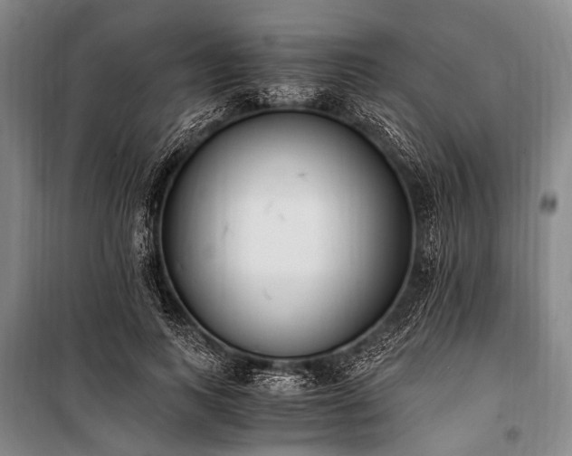 X0000100940743200807011244