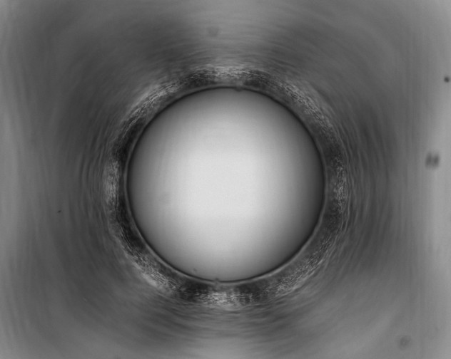 X0000100940744200807011244