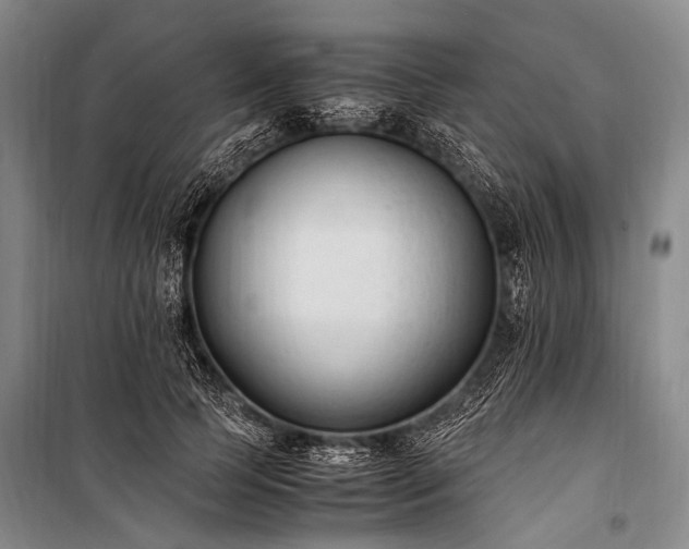 X0000100940745200807011244