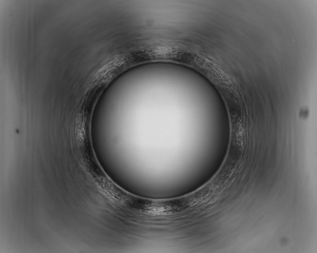 X0000100940746200807011244