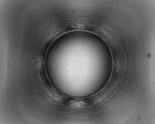 X0000100940747200807011244