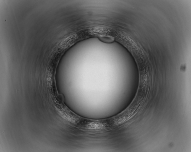 X0000100940749200807011244