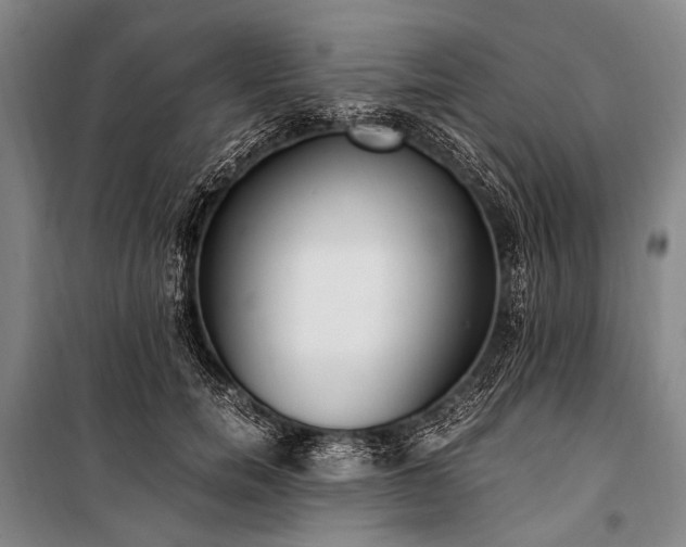 X0000100940750200807011244