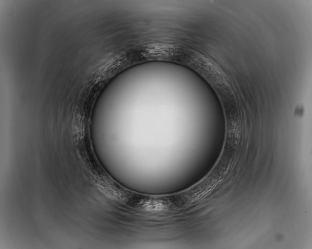 X0000100940751200807011244