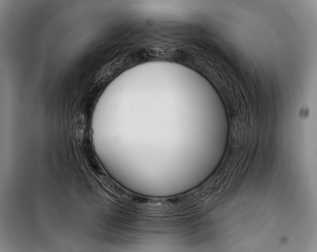 X0000100940752200807011244