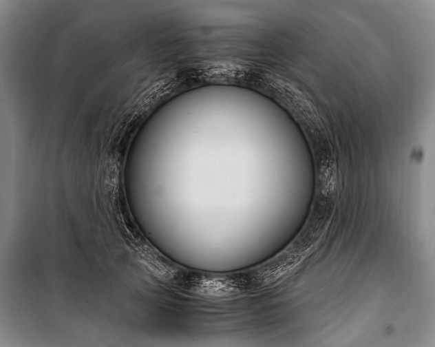 X0000100940753200807011244