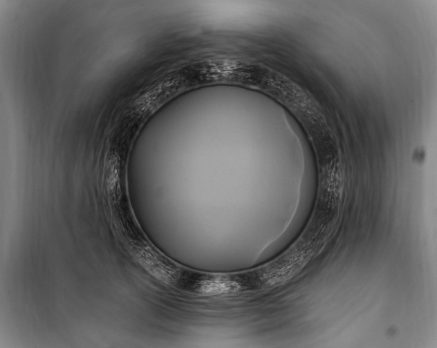 X0000100940754200807011244