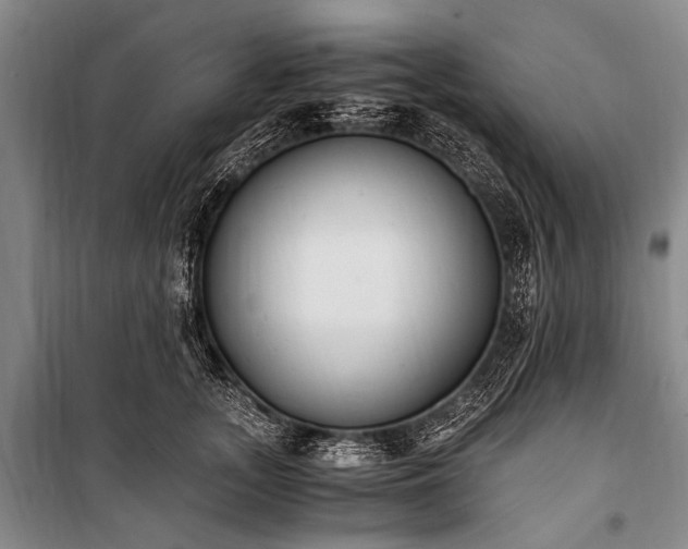 X0000100940755200807011245