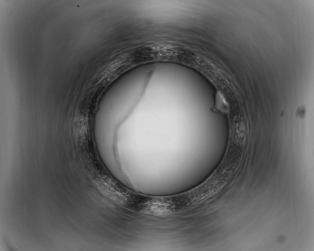 X0000100940756200807011245