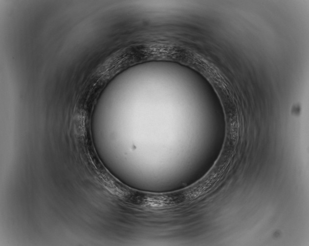 X0000100940757200807011245