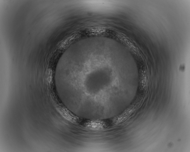 X0000100940758200807011245