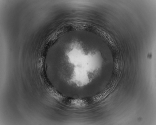 X0000100940759200807011245