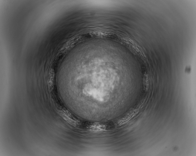 X0000100940760200807011245