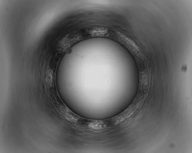 X0000100940761200807011245