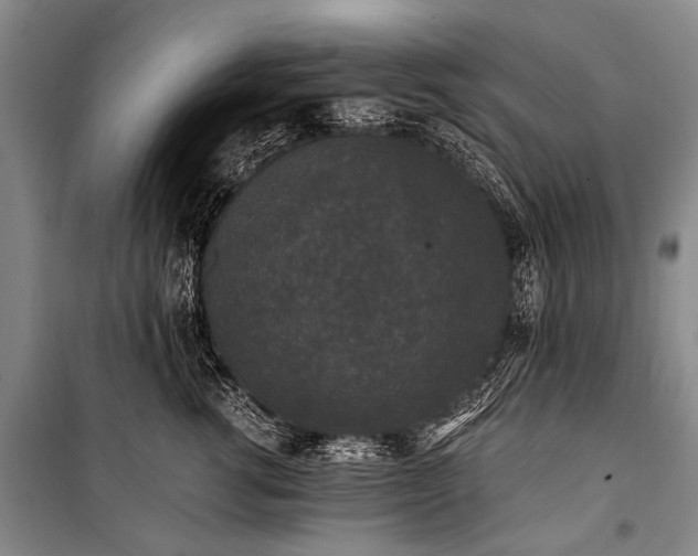 X0000100940762200807011245