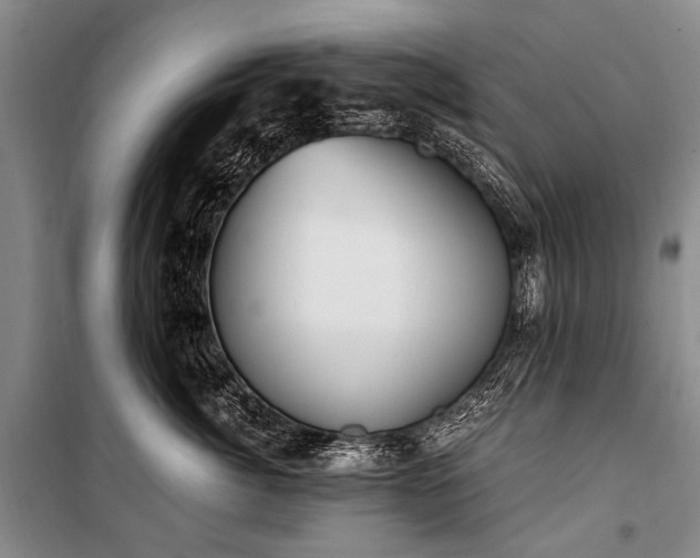 X0000100940764200807011245