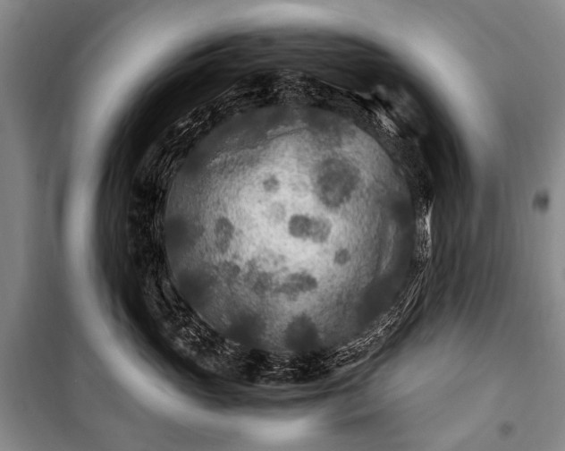 X0000100940765200807011245