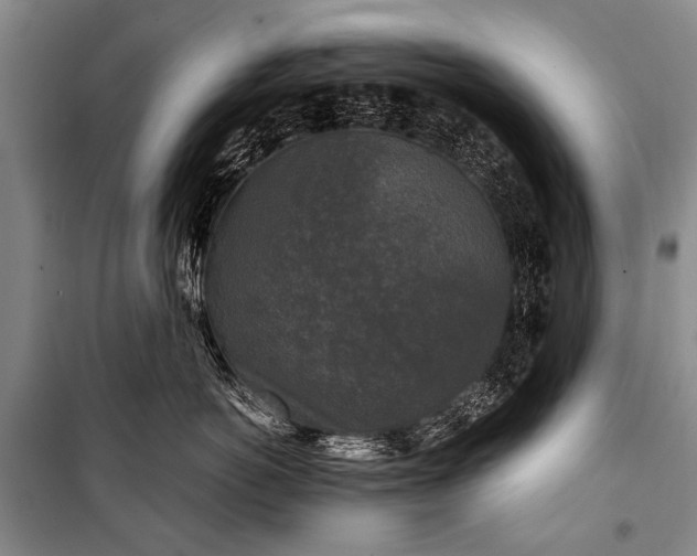 X0000100940766200807011245