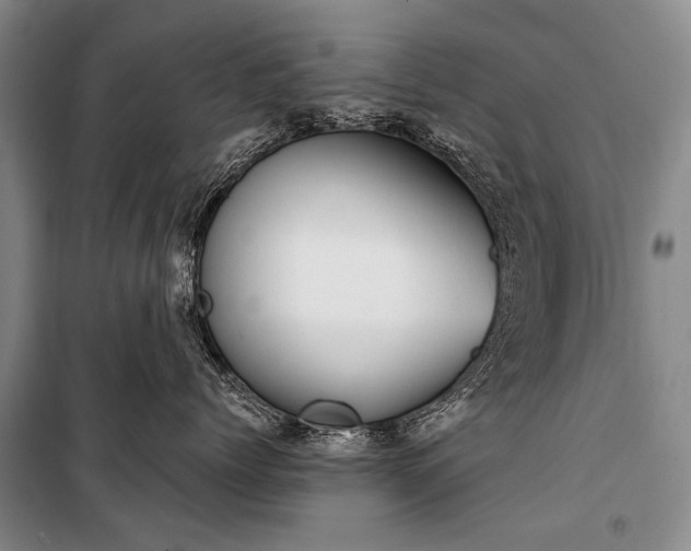 X0000100940768200807011245