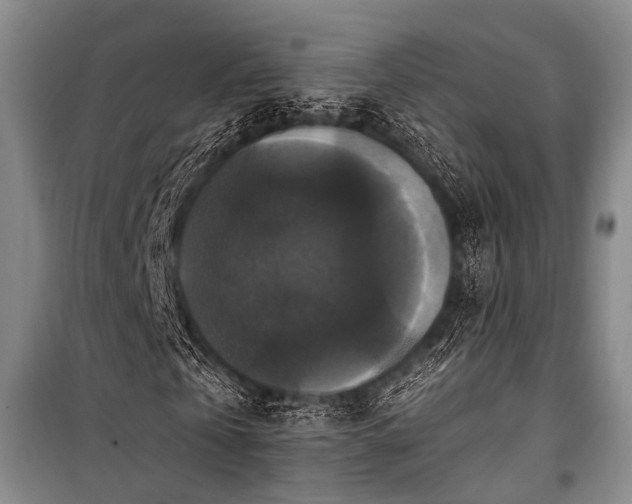 X0000100940769200807011244